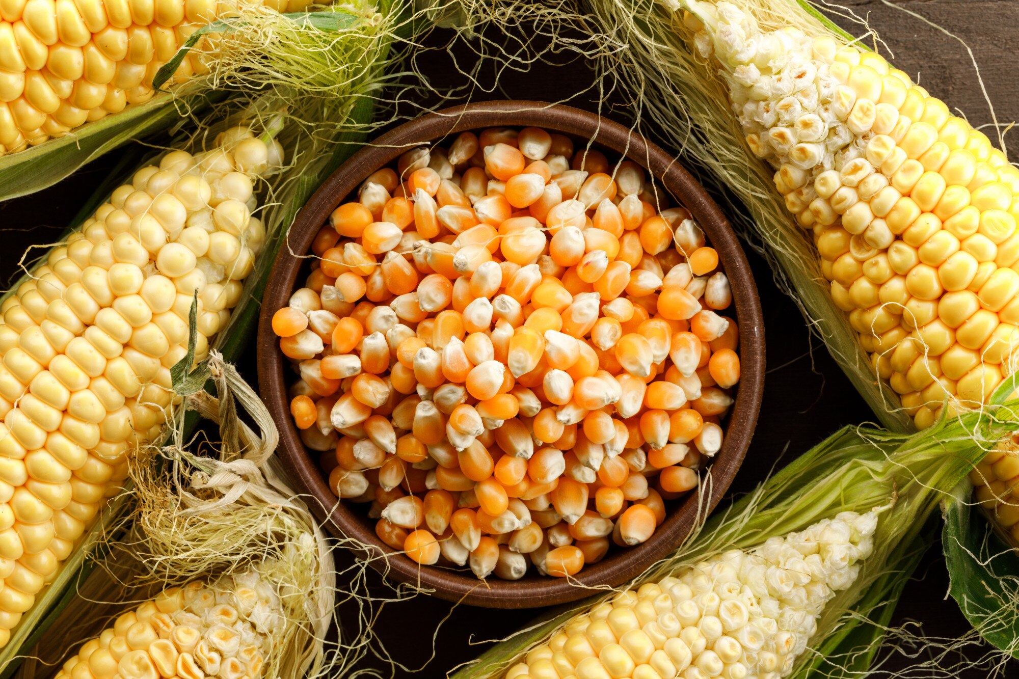Преимущества гибридных сортов кукурузы