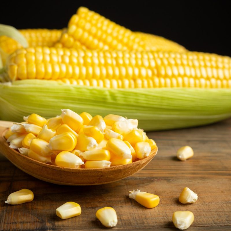 Недостатки гибридных сортов кукурузы