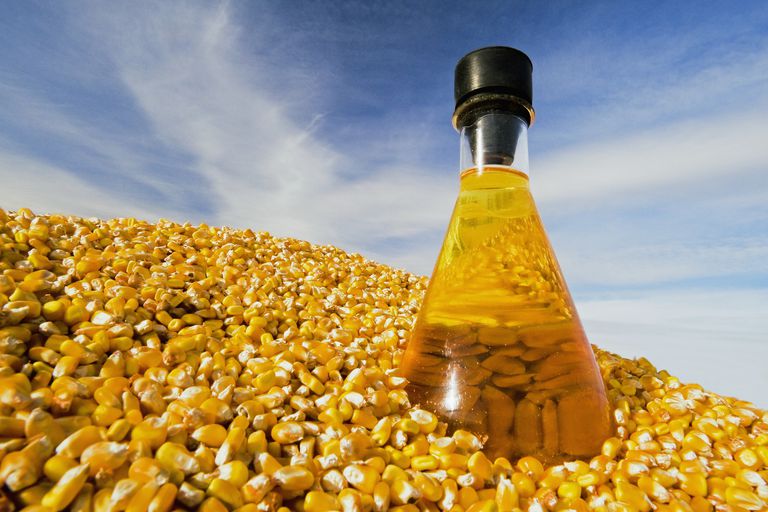 Економіка біопаливної кукурудзи