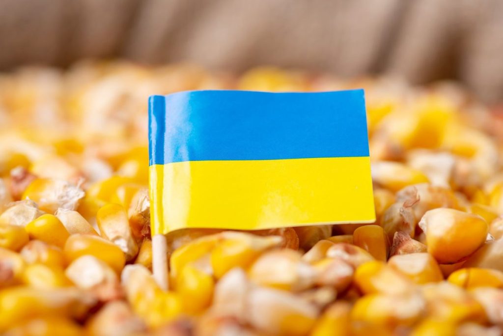 Попит на українську кукурудзу
