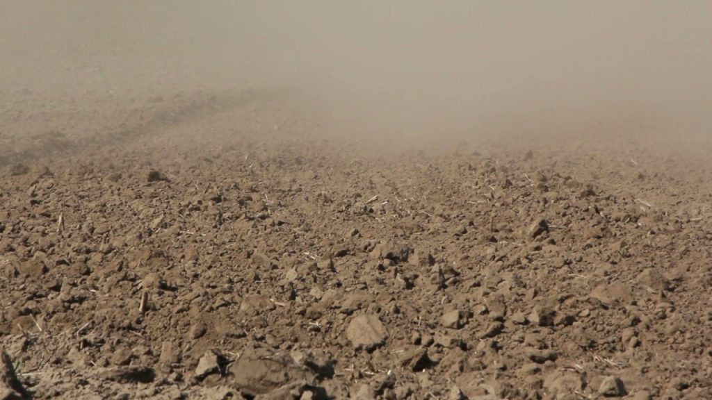 Ветровая эрозия опасна для кукурузы